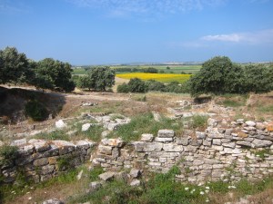 The sea used to come to the edge of the Sunflower field, and legend has it that the field is where the Battle for Troy took place. Nope, didnt see Brad Pitt. 