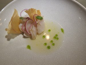 Scallop with local clams, Lacto fermented apples, basil oil