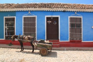 scenes from Trinidad