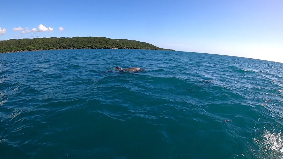 GH010358_1606530827225