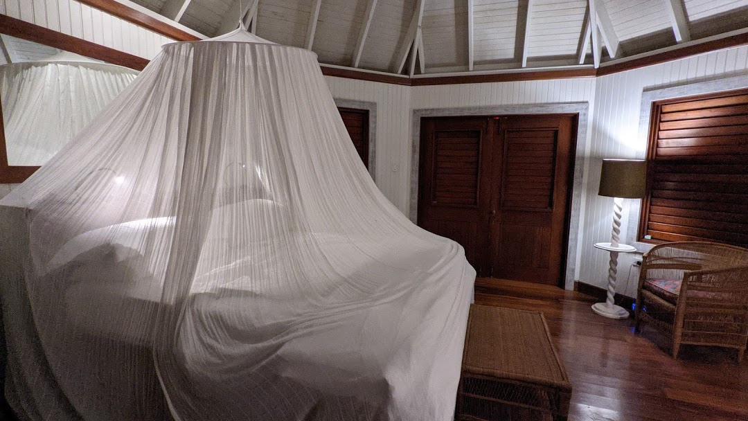 PXL_20201123_003509338