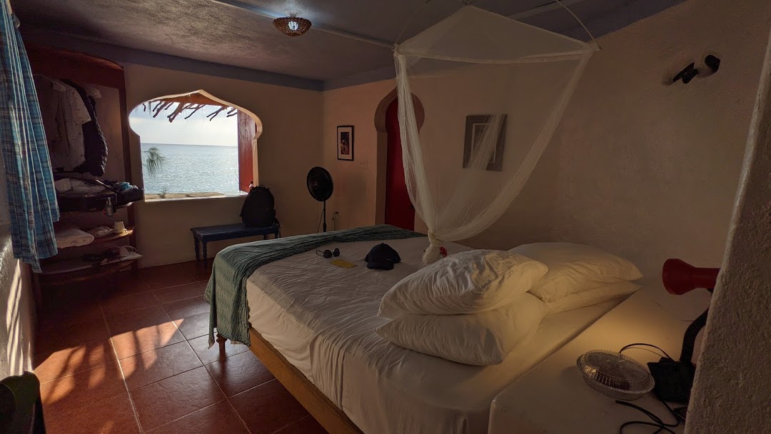 PXL_20201124_204610923