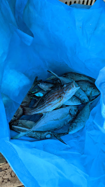 PXL_20201125_165404582