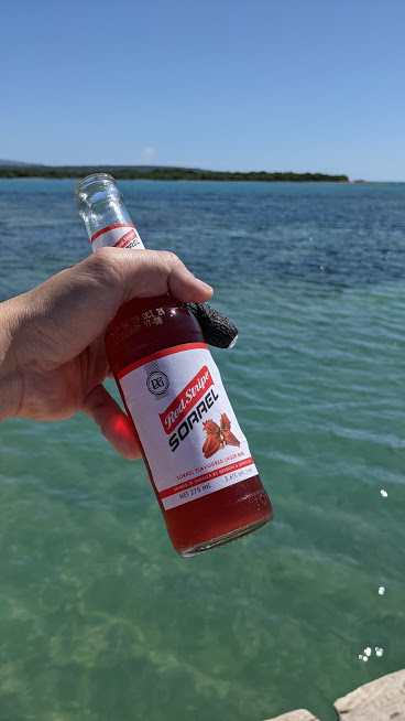 PXL_20201125_170122011