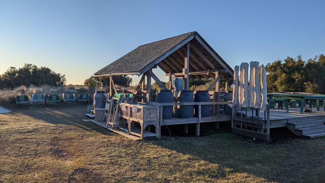 PXL_20210203_124801073