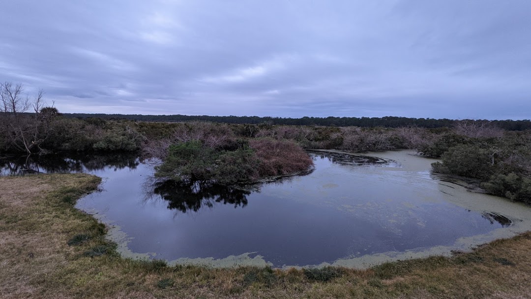 PXL_20210205_121510156