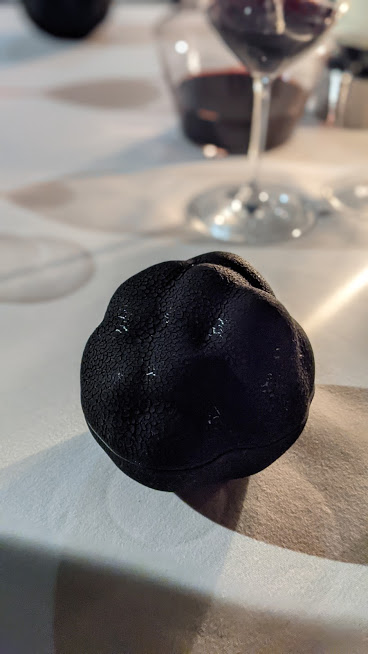 PXL_20210402_042024817.PORTRAIT