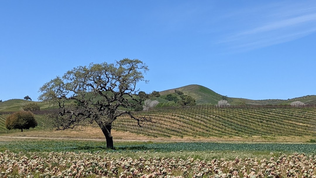 PXL_20210404_193410391.PORTRAIT