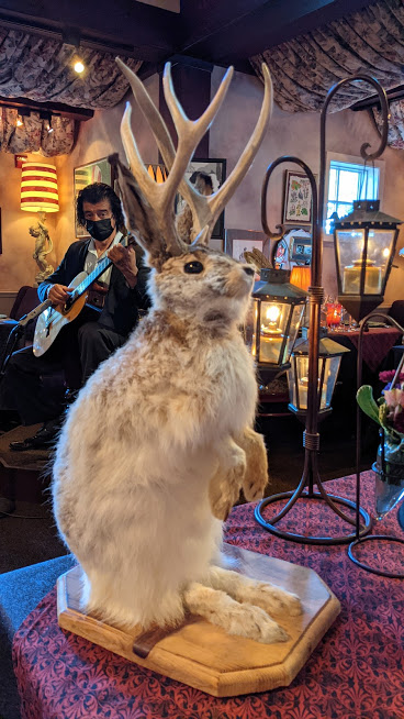 PXL_20210530_015651639