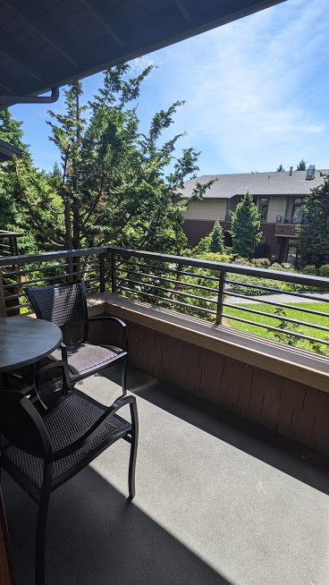 PXL_20210531_194951676