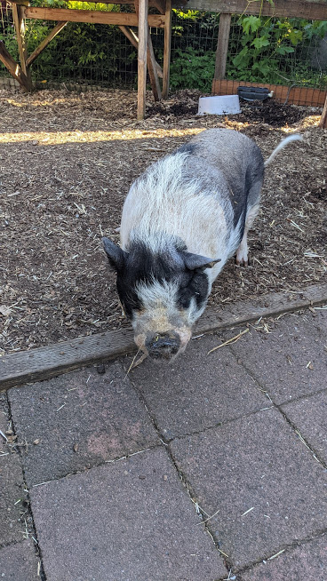 PXL_20210601_004311109