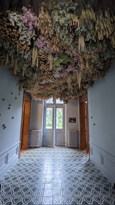 PXL_20210705_075851850