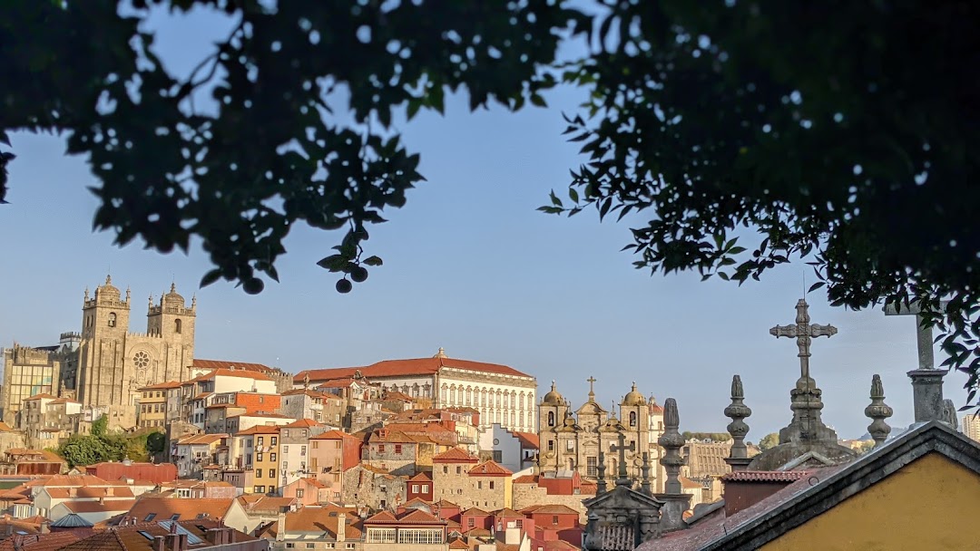 PXL_20210828_180852433.PORTRAIT