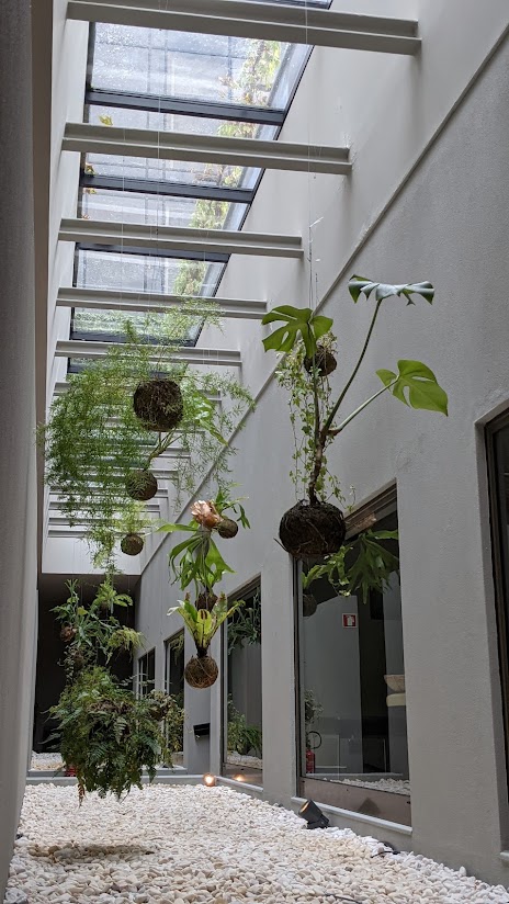 PXL_20210829_110033047.PORTRAIT