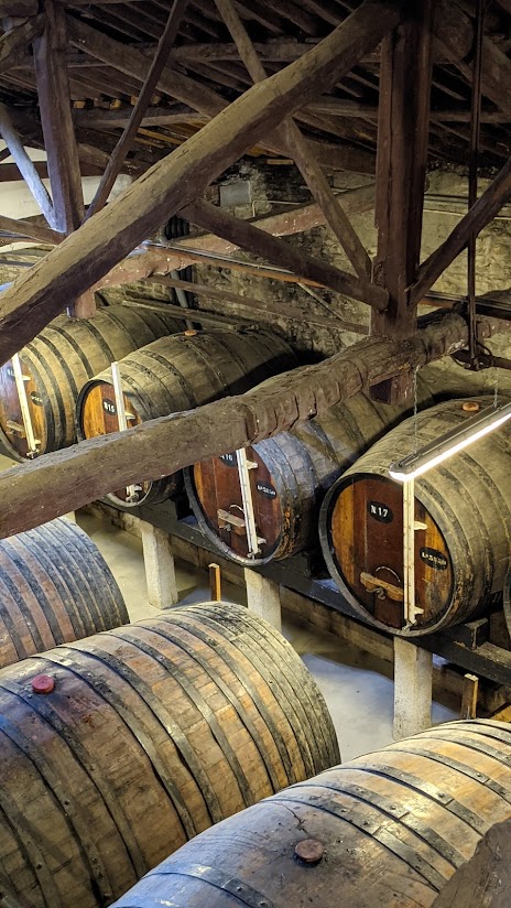 PXL_20210830_102049966.PORTRAIT