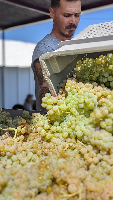 PXL_20210830_142846140.PORTRAIT