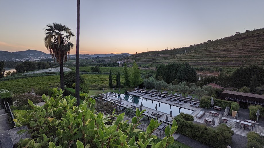 PXL_20210831_055642767