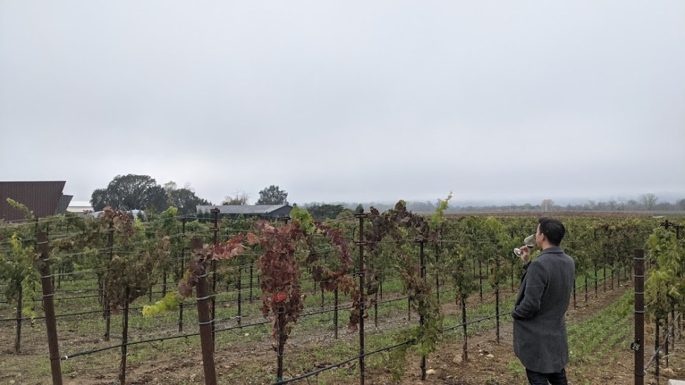 PXL_20211114_190404641