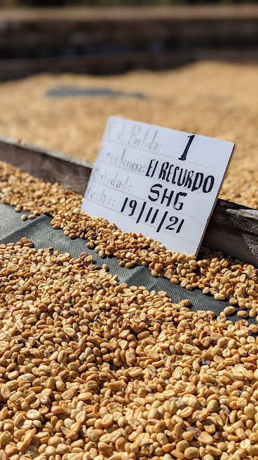 PXL_20211128_152525607.PORTRAIT