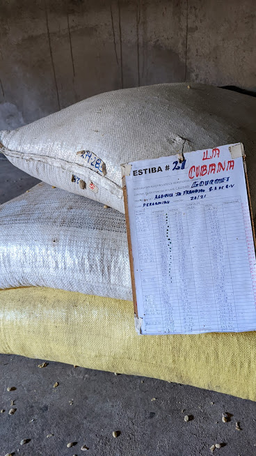 PXL_20211128_153553927