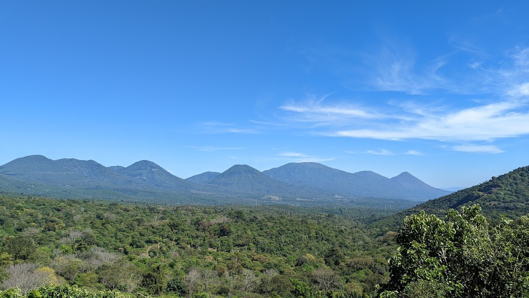 PXL_20211128_191740411