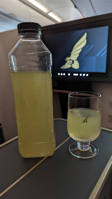 PXL_20211222_145353079