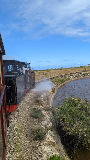 PXL_20220123_140714126