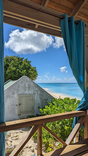 PXL_20220228_170848511