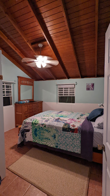 PXL_20220301_010641481