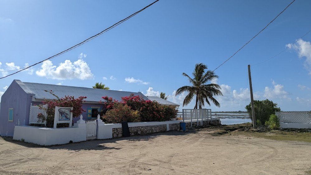 PXL_20220302_133533185