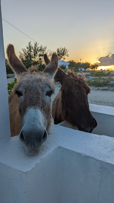 PXL_20220302_223250023