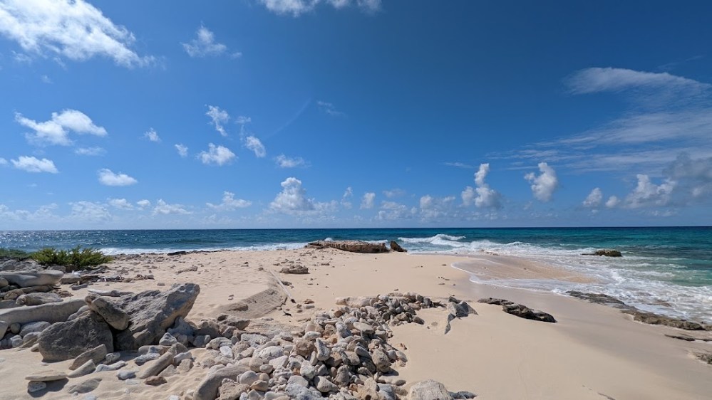 PXL_20220303_144924989