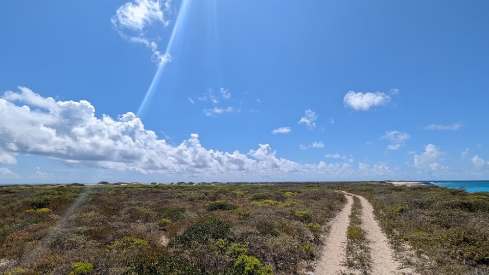 PXL_20220303_154016030