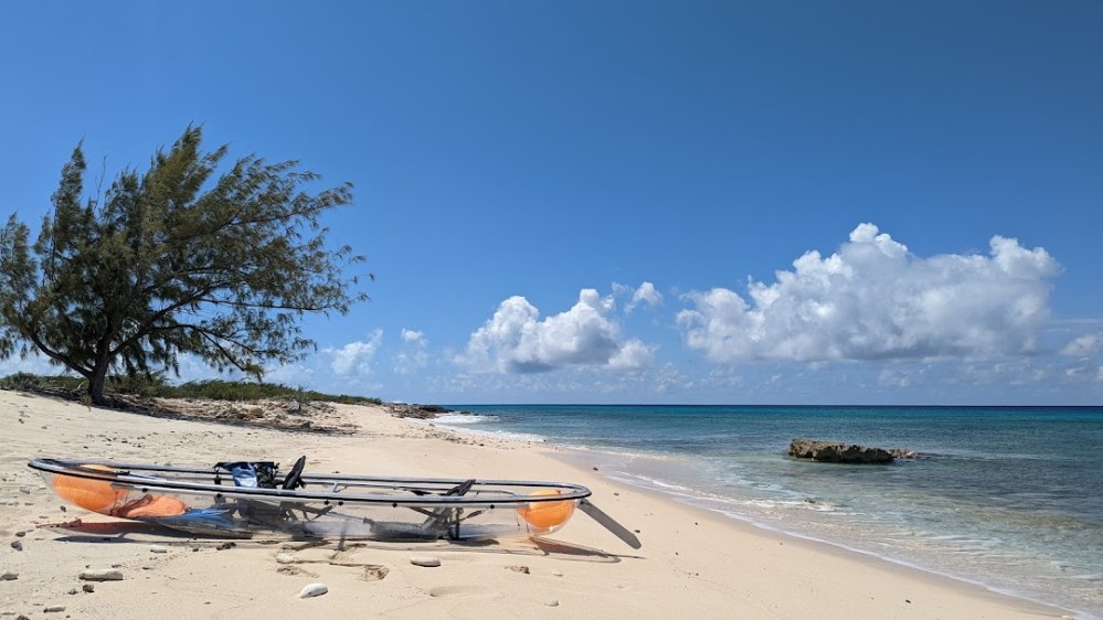 PXL_20220303_161620689