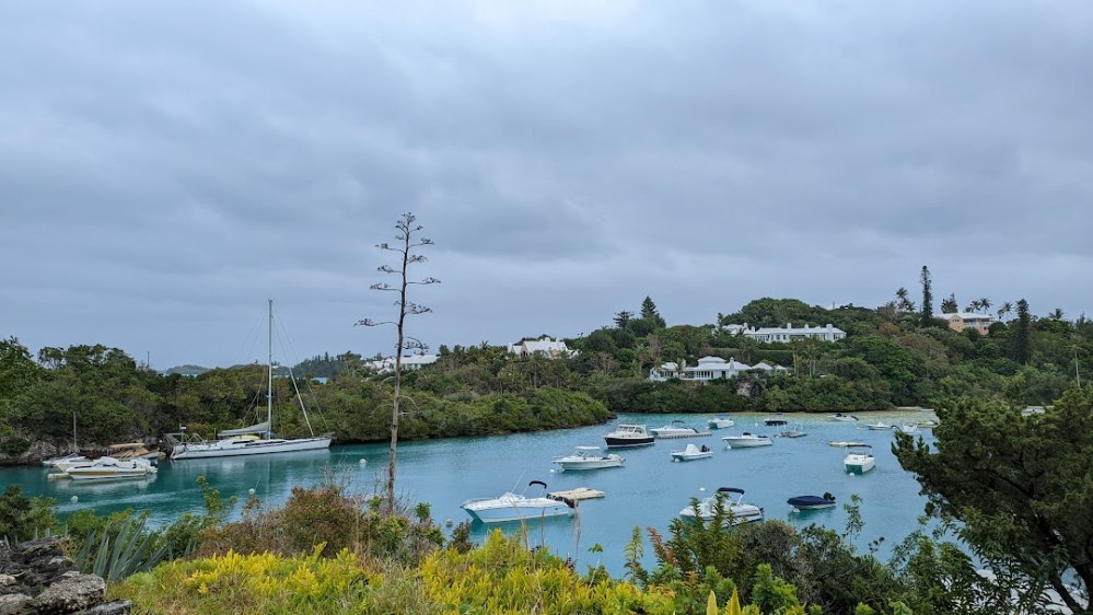 PXL_20220313_135154009