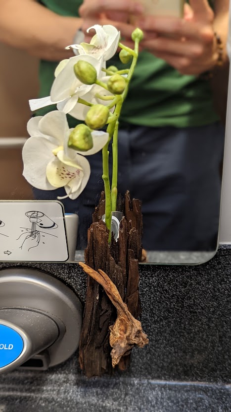 PXL_20220524_012158332.PORTRAIT