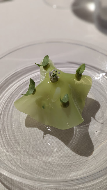 PXL_20220525_042638153.PORTRAIT