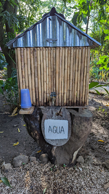 PXL_20220717_131411824