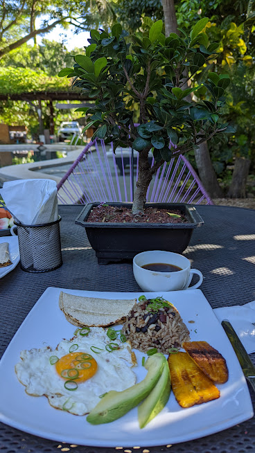 PXL_20220717_134444274