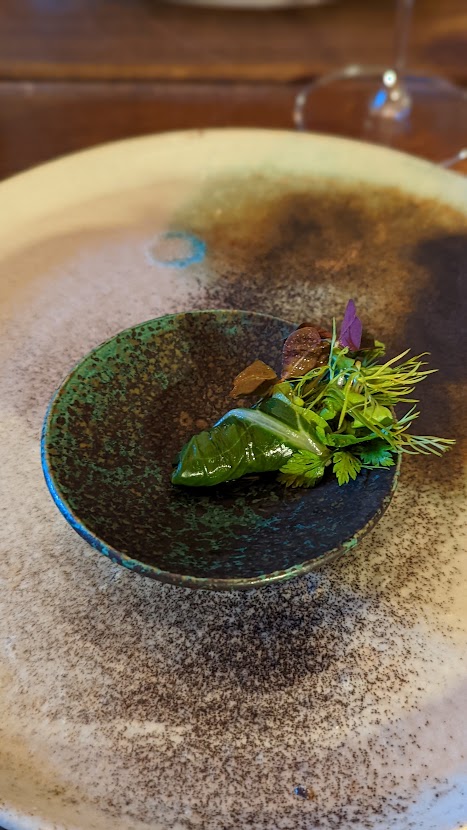 PXL_20220904_210204373.PORTRAIT