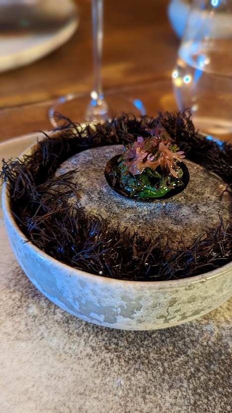 PXL_20220904_210710643.PORTRAIT