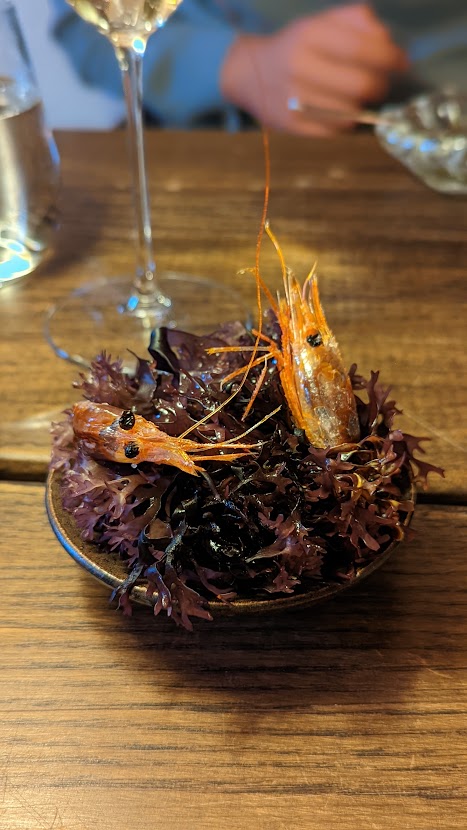 PXL_20220904_212640150.PORTRAIT