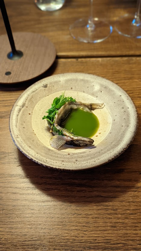 PXL_20220904_213645117.PORTRAIT