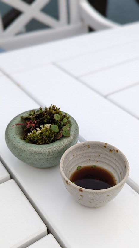 PXL_20220904_222838638.PORTRAIT