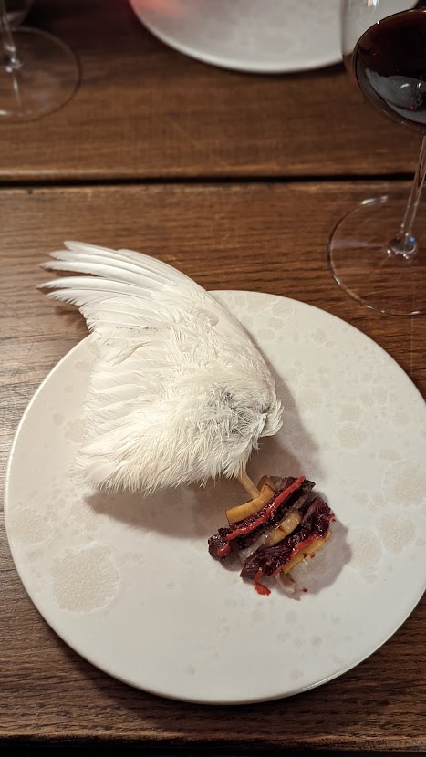 PXL_20220904_230724300.PORTRAIT