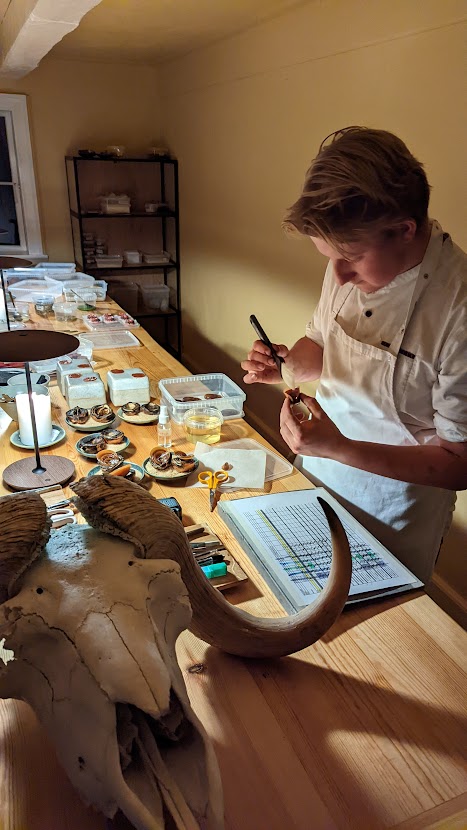 PXL_20220905_012142449