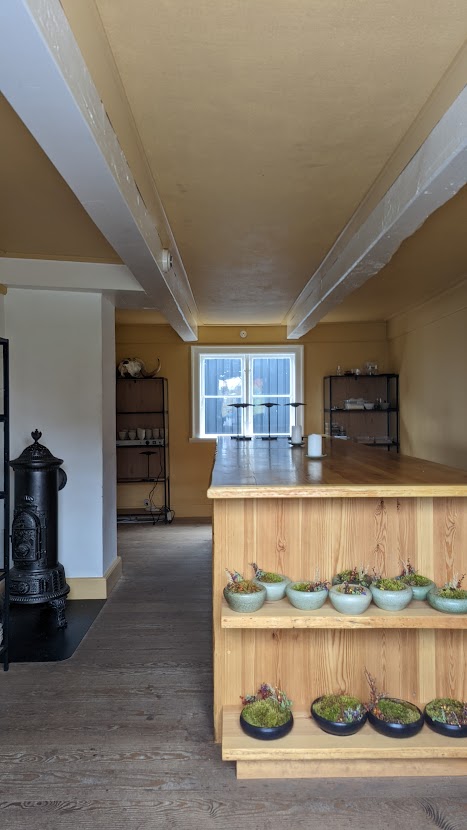 PXL_20220905_165342696